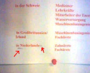 in den Niederlanden